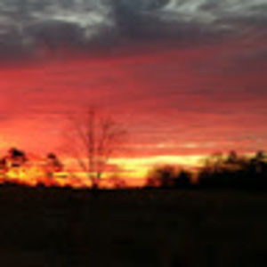 Meet your Posher, Chancelor